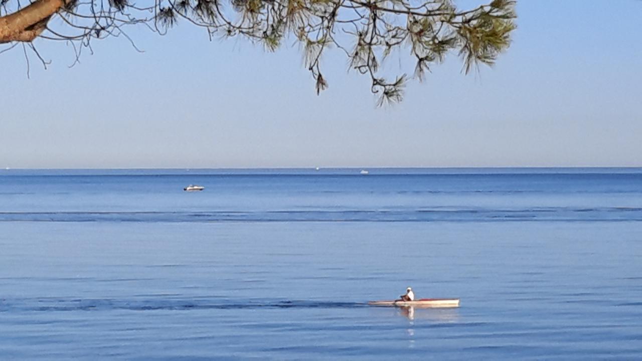 Appart Bleu Azur Saint-Florent  Dış mekan fotoğraf